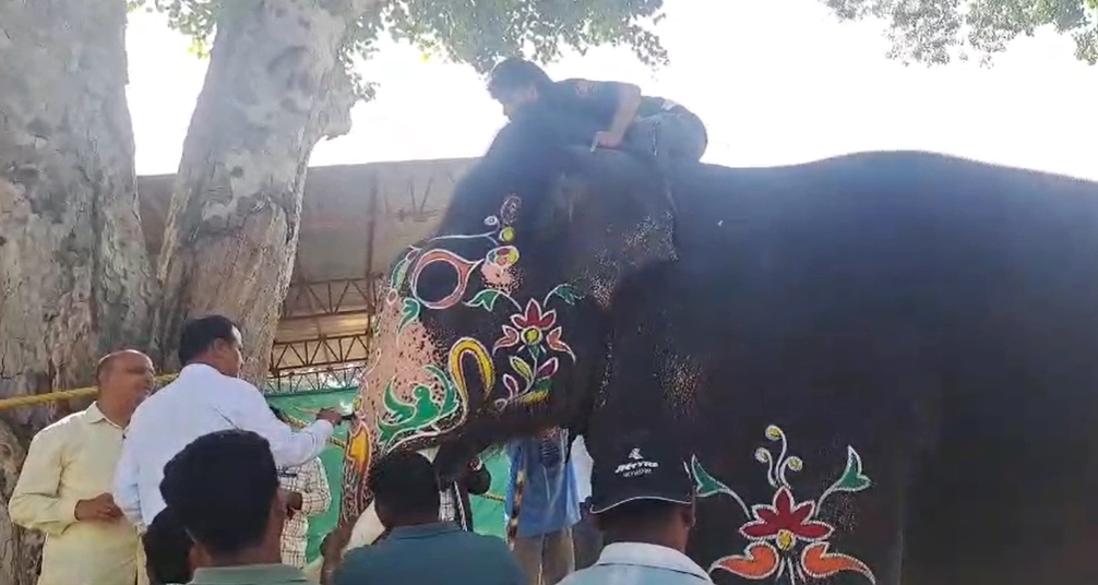 6ನೇ ಬಾರಿಗೆ ಚಿನ್ನದ ಅಂಬಾರಿ ಹೊರುತ್ತಿರುವ ಅಭಿಮನ್ಯು ! - News Karnataka