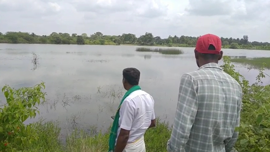 ಹುಸ್ಕೂರು ಕೆರೆಯಲ್ಲಿ ಮೊಸಳೆ ಪ್ರತ್ಯಕ್ಷ: ಗ್ರಾಮಸ್ಥರಲ್ಲಿ ಆತಂಕ - News Karnataka
