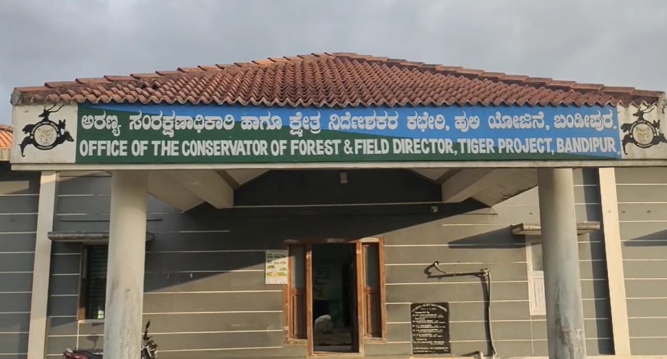 ಗುಂಡ್ಲುಪೇಟೆ : ಹಾಡಹಗಲೇ ಮಹಿಳೆ ಮೇಲೆ ಹುಲಿ ದಾಳಿ : ದೇಶಿಪುರ ಕಾಲೋನಿ ಮಹಿಳೆ ಬಲಿ - News Karnataka