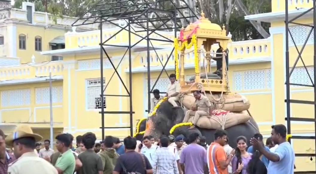 ವಿಶ್ವವಿಖ್ಯಾತ ಮೈಸೂರು ದಸರಾ ಮಹೋತ್ಸವದ ವಿಜಯದಶಮಿ ಜಂಬೂಸವಾರಿ ಮೆರವಣಿಗೆಗೆ ದಿನಗಣನೆ - News Karnataka