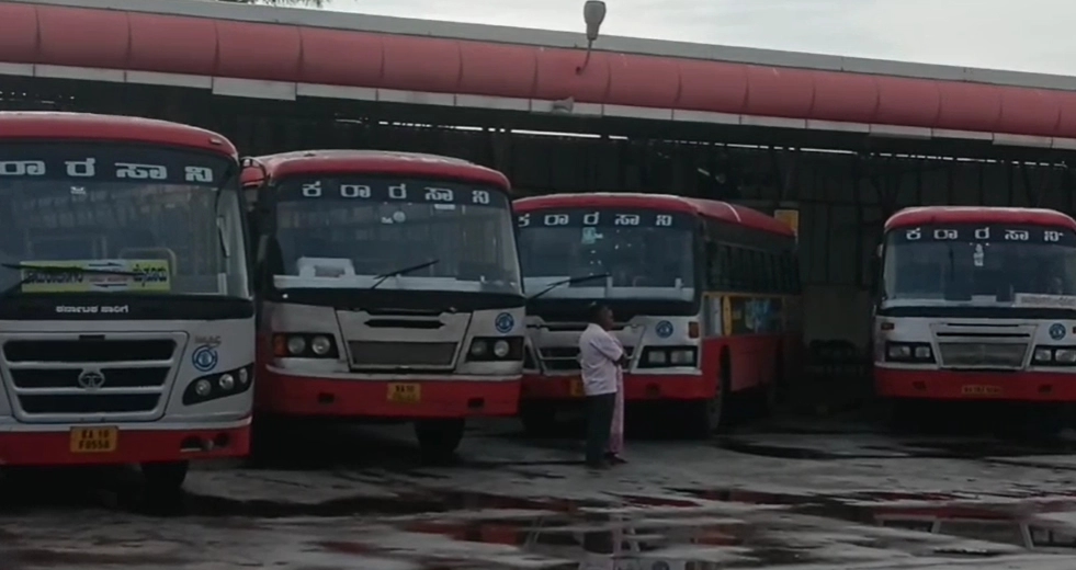 ಬೇಳೆಕಾಳು ನಮ್ಮ ದೇಹಕ್ಕೆ ಪೋಷಕಾಂಶ ನೀಡುವಲ್ಲಿ ಸಹಕಾರಿ - News Karnataka