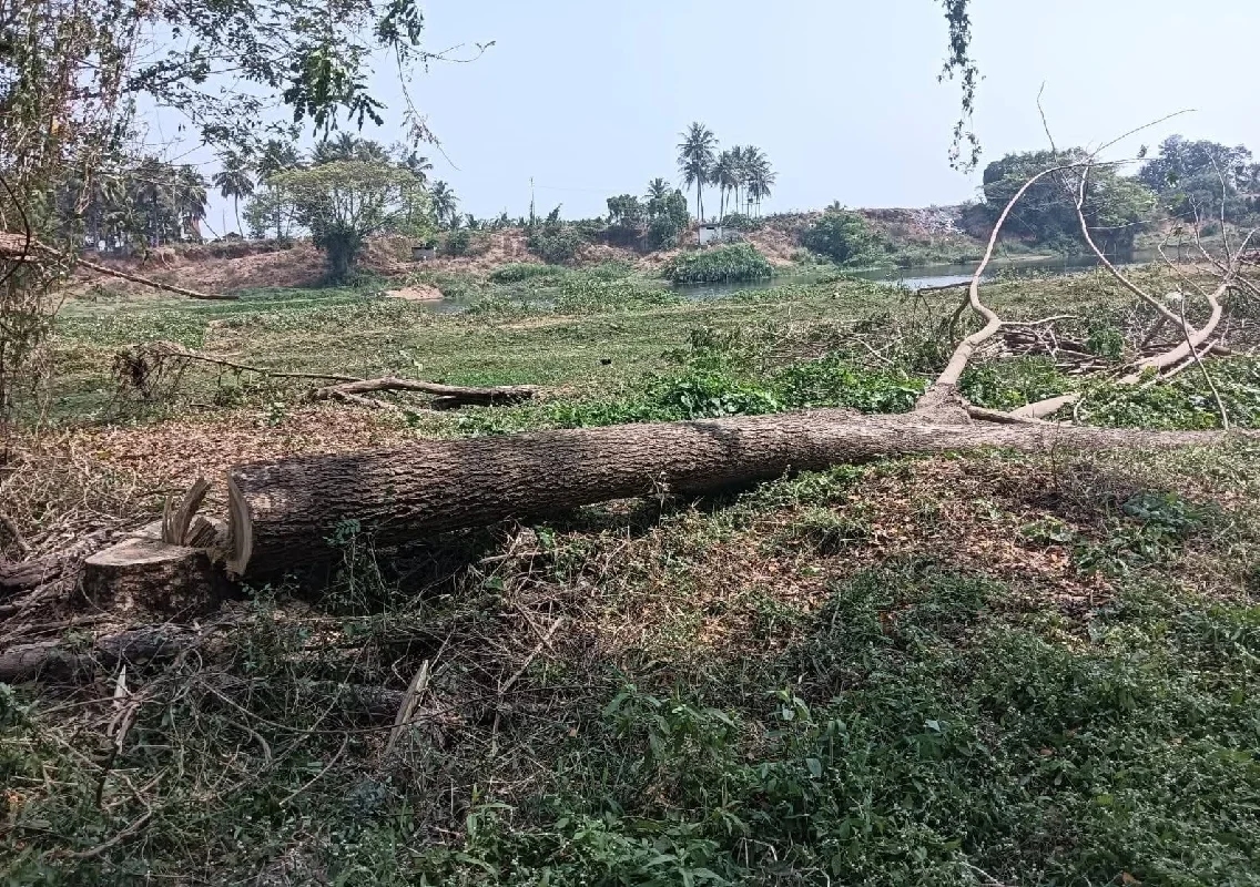 ನಾಳೆಯಿಂದ ಭಾರೀ ಮಳೆ ಸಾಧ್ಯತೆ: ದಕ್ಷಿಣ ಕನ್ನಡ, ಉಡುಪಿ ಜಿಲ್ಲೆಗಳಿಗೆ ಯೆಲ್ಲೋ ಅಲರ್ಟ್ - News Karnataka