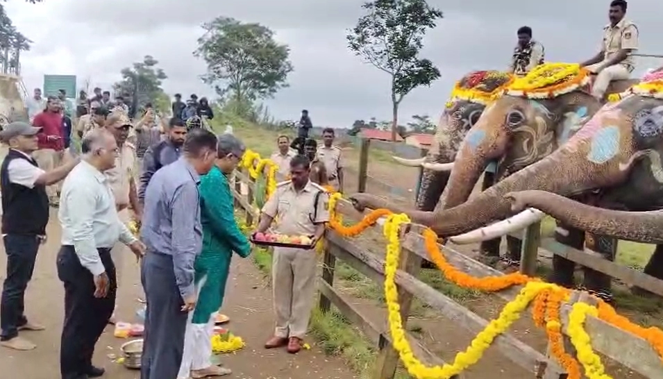 ಕೊಡಗಿನಲ್ಲಿ ಸಂಭ್ರಮದ ವಿಶ್ವ ಆನೆಗಳ ದಿನಾಚರಣೆ - News Karnataka