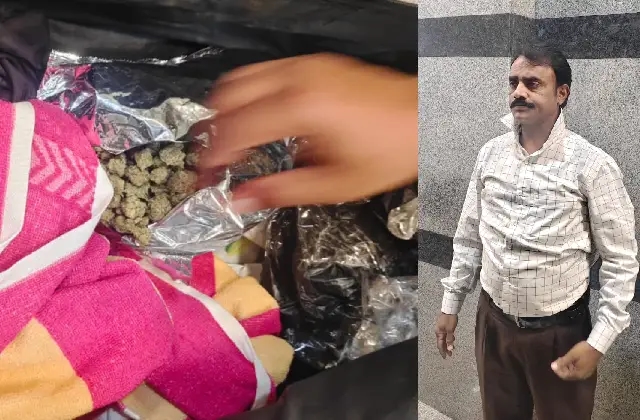ಮಂಗಳೂರು : ವಿಮಾನದ ಮೂಲಕ ಹೈಡೋಪೋನಿಕ್ ಗಾಂಜಾ ಸಾಗಟ: ಓರ್ವ ವಶಕ್ಕೆ - News Karnataka