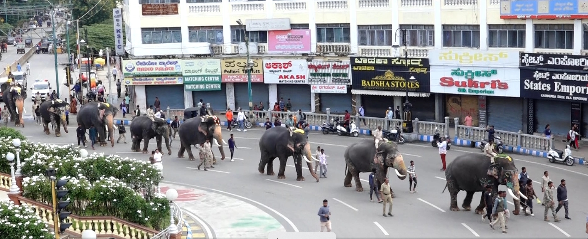 ನಾಡಹಬ್ಬ ಮೈಸೂರು ದಸರಾ ಮಹೋತ್ಸವ 2025;  ಇಂದು ಗಜಪಡೆಗೆ ಮೊದಲ ಸಿಡಿಮದ್ದು ತಾಲೀಮು - News Karnataka