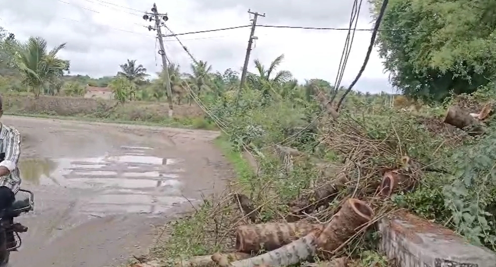 ನಂಜನಗೂಡು: ಧಾರಾಕಾರ ಮಳೆಗೆ ಮುರಿದು ಬಿದ್ದ ವಿದ್ಯುತ್ ಕಂಬ - News Karnataka