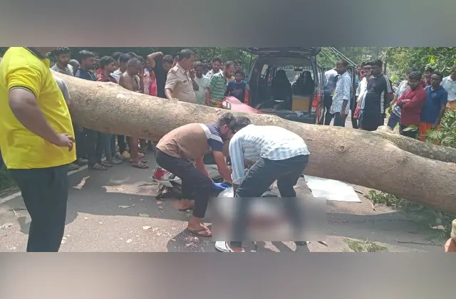 ಚಲಿಸುತ್ತಿದ್ದ ಬೈಕ್ ಮೇಲೆ  ಮರ ಬಿದ್ದು ಸವಾರ ಮೃತ್ಯು - News Karnataka