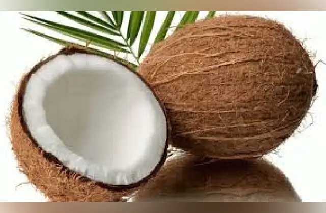 ತೆಂಗಿನಕಾಯಿ ಮೂಳೆಗಳ ಆರೋಗ್ಯವನ್ನು ಕಾಪಾಡಲು ಸಹಕಾರಿ! - News Karnataka