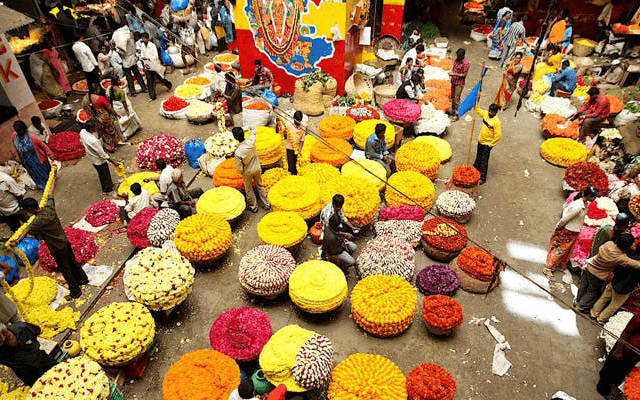 ಗೌರಿ ಗಣೇಶ ಹಬ್ಬಕ್ಕೆ ಭರ್ಜರಿ ತಯಾರಿ, ಖರೀದಿ ಜೋರು; ಹೂ, ಹಣ್ಣು ದುಬಾರಿ - News Karnataka