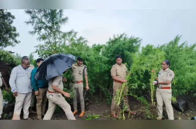 2 ಕೋಟಿಗೂ ಅಧಿಕ ಮೌಲ್ಯದ ಗಾಂಜಾ ಪೊಲೀಸರ ವಶಕ್ಕೆ - News Karnataka
