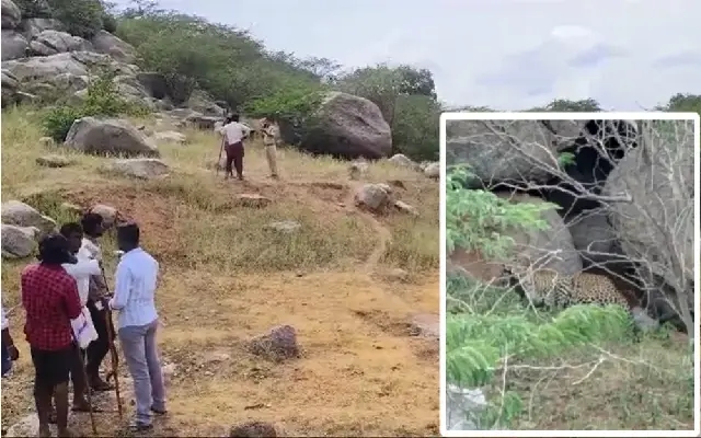 ರಾಯಚೂರಿನಲ್ಲಿ ಮೂವರ ಮೇಲೆ ದಾಳಿ: ಮೂವರಿಗೆ ಗಂಭೀರ ಗಾಯ - News Karnataka