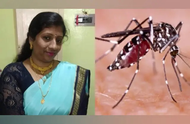 ಡೆಂಗ್ಯೂ ಮಹಾಮಾರಿ ಅಬ್ಬರ : ಮೈಸೂರಿನಲ್ಲಿ ಡೆಂಗ್ಯೂಗೆ ಆರೋಗ್ಯಾಧಿಕಾರಿ ಬಲಿ - News Karnataka