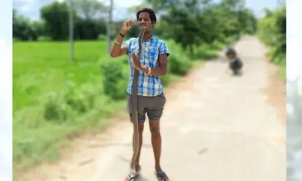 ಹಾವನ್ನು ಬಾಯಿಯಲ್ಲಿ ಕಚ್ಚಿ ಹಿಡಿದು ಯುವಕನ ರೀಲ್ಸ್‌ : ಮಧ್ಯಾಹ್ನದ ವೇಳೆಗೆ ಮೃತ್ಯು - News Karnataka