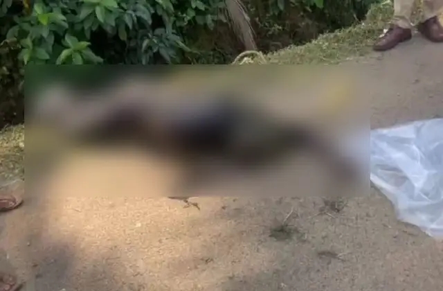 ಉಡುಪಿ ಬೈಲಕೆರೆಯಲ್ಲಿ ಕೊಳೆತ ಸ್ಥಿತಿಯಲ್ಲಿ ವ್ಯಕ್ತಿಯ ಶವಪತ್ತೆ - News Karnataka