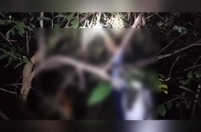 ಮಣಿಪಾಲ: ರುಂಡ ಮುಂಡ ಬೇರ್ಪಟ್ಟ ಸ್ಥಿತಿಯಲ್ಲಿ ವ್ಯಕ್ತಿಯ ಶವ‌ ಪತ್ತೆ - News Karnataka
