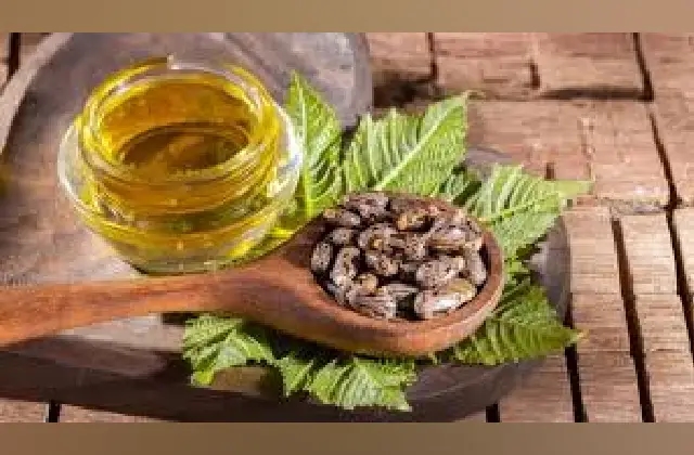 ಕೂದಲಿನ ಬೆಳವಣಿಗೆಗೆ ಹರಳೆಣ್ಣೆ ತುಂಬಾನೇ ಸಹಕಾರಿ ಗೊತ್ತಾ! - News Karnataka