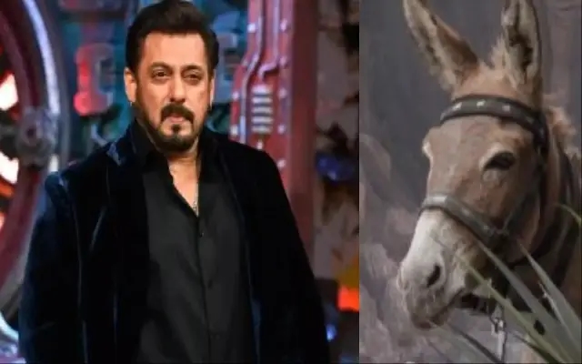 Bigg BOss ಮನೇಲಿ ಕತ್ತೆ ಬಳಸುತ್ತೀರುವುದು ಸರಿಯಲ್ಲ : ಶೋ ವಿರುದ್ಧ ‘PETA' ಆಕ್ರೋಶ - News Karnataka