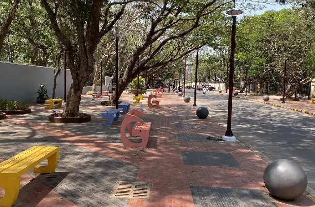 ಮಂಗಳೂರು: ಜುಲೈ 13 ರಂದು ಕದ್ರಿ ಪಾರ್ಕ್‌ನಲ್ಲಿ ವನಮಹೋತ್ಸವ - News Karnataka
