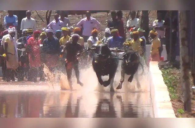 ಕಂಬಳ ರಾಜ್ಯ ಅಸೋಸಿಯೇಶನ್ ರಚನೆ: ಮಾನ್ಯತೆ ಪ್ರಕ್ರಿಯೆ ಬಹುತೇಕ ಪೂರ್ಣ - News Karnataka
