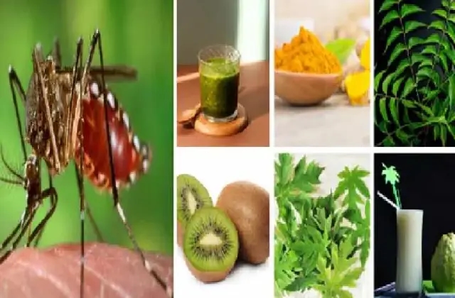 ಡೆಂಗ್ಯೂ ಜ್ವರಕ್ಕೆ ಸರಳ ಮನೆ ಮದ್ದು ಯಾವುದು ಗೊತ್ತಾ? - News Karnataka