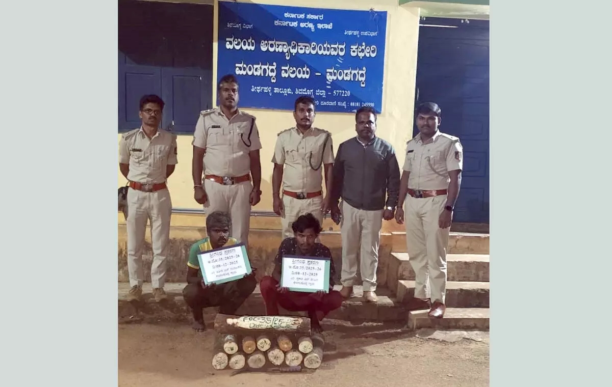 ಅಕ್ರಮ ಶ್ರೀಗಂಧ ಸಾಗಾಟ : ಇಬ್ಬರ ಬಂಧನ - News Karnataka
