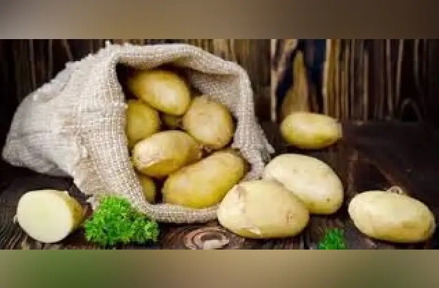 ಮುಖದ ಸೌಂದರ್ಯವನ್ನು ಹೆಚ್ಚಿಸಲು ಆಲೂಗಡ್ಡೆ ಈ ರೀತಿ ಬಳಸಿ - News Karnataka