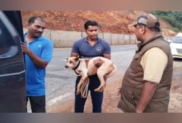 ಶಿರೂರು ಗುಡ್ಡ ಕುಸಿತ: ಶ್ವಾನಗಳ ರೋದನೆಗೆ ಮರುಗಿದ ಜಿಲ್ಲಾ ಪೊಲೀಸ್​ ವರಿಷ್ಠಾಧಿಕಾರಿ - News Karnataka