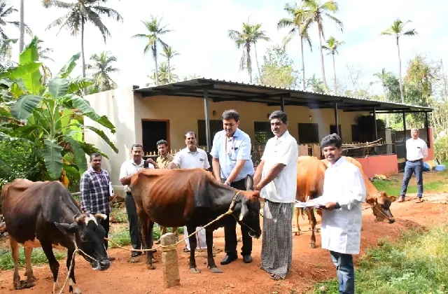 ರಾಸುಗಳಿಗೆ ಕಾಲು ಬಾಯಿ ಜ್ವರಕ್ಕೆ ಉಚಿತ ಲಸಿಕೆ - News Karnataka