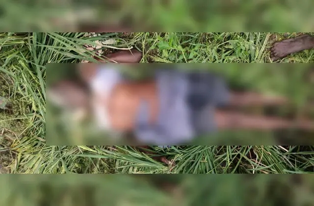ಮೈಸೂರಿನಲ್ಲಿ ವಿದ್ಯುತ್ ತಂತಿ ತುಳಿದು ರೈತ ದಾರುಣ ಸಾವು - News Karnataka