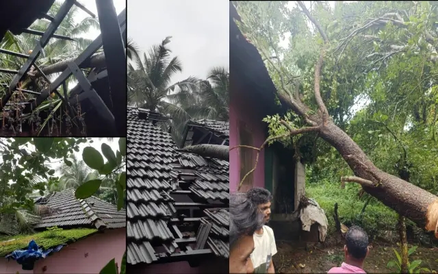 ಭಾರೀ ಮಳೆಗೆ ತುಂಬಿ ಹರಿದ ನೇತ್ರಾವತಿ : ತೆಂಗಿನ ಮರ ಬಿದ್ದು ಮನೆಗೆ ಹಾನಿ - News Karnataka