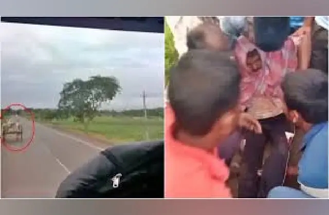 ಸರ್ಕಾರಿ ಬಸ್ ಚಾಲಕನ ರೀಲ್ಸ್ ಹುಚ್ಚಾಟ: ಎರಡು ಎತ್ತು ಬಲಿ, ಓರ್ವ ರೈತ ಗಂಭೀರ - News Karnataka