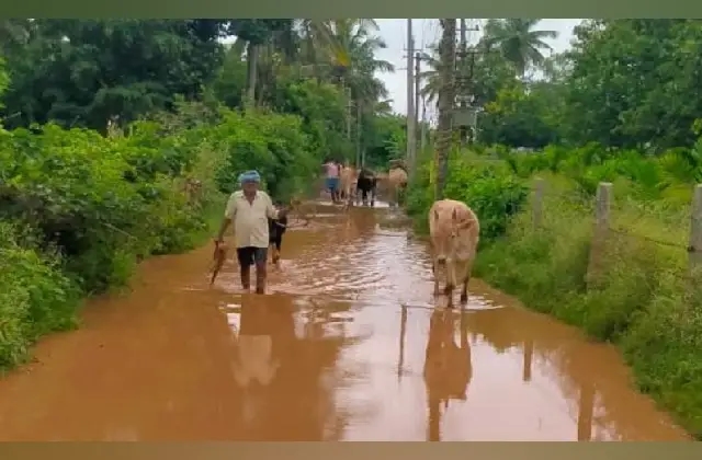 ಮೈಸೂರು: ಕೆಸರು ನೀರು ನಿಂತು ಹೊಳೆಯಂತಾದ ಗ್ರಾಮದ ಮುಖ್ಯ ರಸ್ತೆ! - News Karnataka