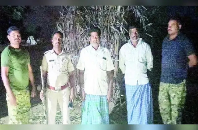 ರೈತರ ನಿದ್ದೆಗೆಡಿಸಿರುವ ಚಿರತೆಯ ಸೆರೆಗಾಗಿ ದ್ರೋಣ್ ಬಳಕೆ - News Karnataka