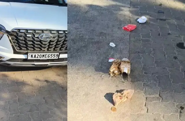 ಉಡುಪಿ: ಕಾರಿನಲ್ಲೇ ಬರ್ಗರ್ ತಿಂದು ರಸ್ತೆಗೆ ಕಸ ಎಸೆದ ಪುಡಾರಿಗಳು - News Karnataka