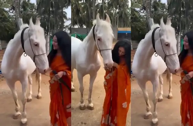ಇಂದು ನಾಡಿನೆಲ್ಲೆಡೆ ಸಂಕ್ರಾಂತಿ ಸಂಭ್ರಮ; ದರ್ಶನ್ ಫಾರಂ ನಲ್ಲಿರುವ ಕುದುರೆ ಜೊತೆ ಪೋಸ್ಟ್ ಹಾಕಿದ ವಿಜಯಲಕ್ಷ್ಮಿ - News Karnataka
