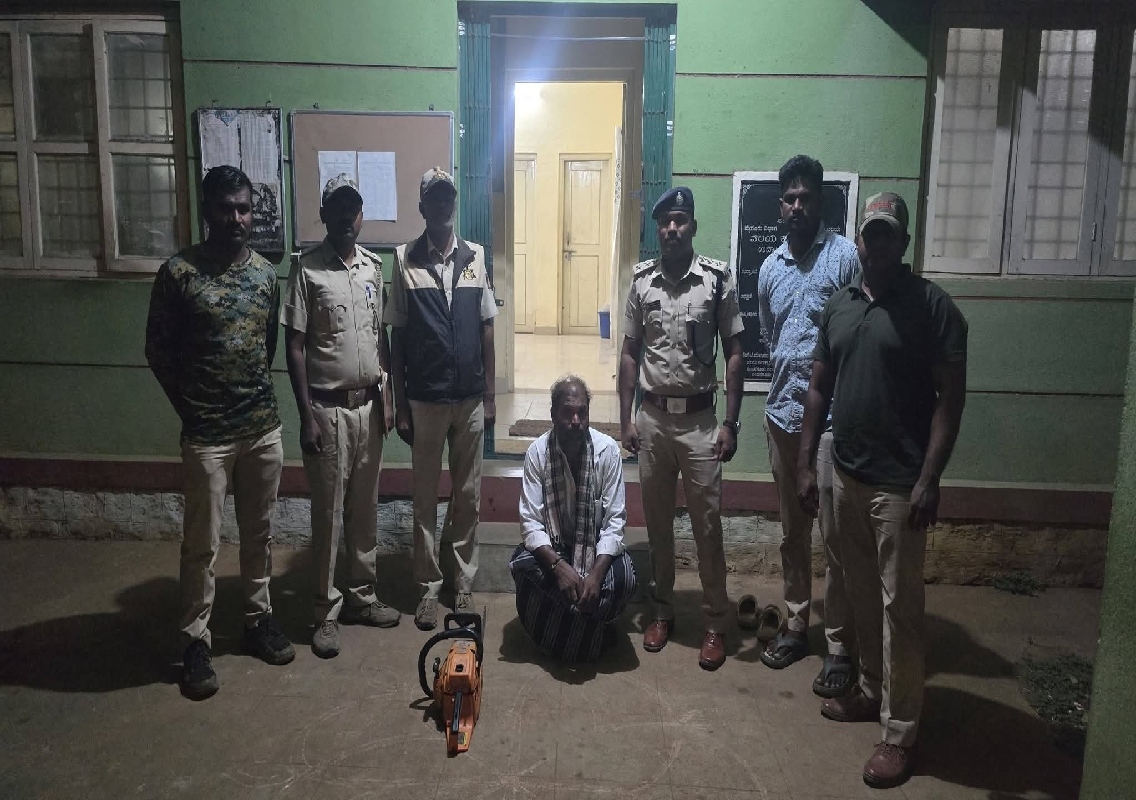 ಮರಗಳ ಹನನ ಪ್ರಕರಣ, ಓರ್ವನ ಬಂಧನ; ಕೊನೆಗೂ ಎಚ್ಚೆತ್ತ ಅರಣ್ಯ ಇಲಾಖೆ! - News Karnataka