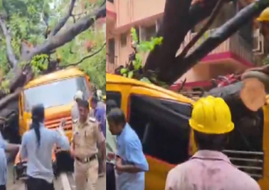 ಮುಂಬೈ: ಶಾಲಾ ಬಸ್ ಮೇಲೆ ಬಿದ್ದ ಬೃಹತ್ ಮರ – 10 ವಿದ್ಯಾರ್ಥಿಗಳಿಗೆ ಗಂಭೀರ ಗಾಯ! - News Karnataka