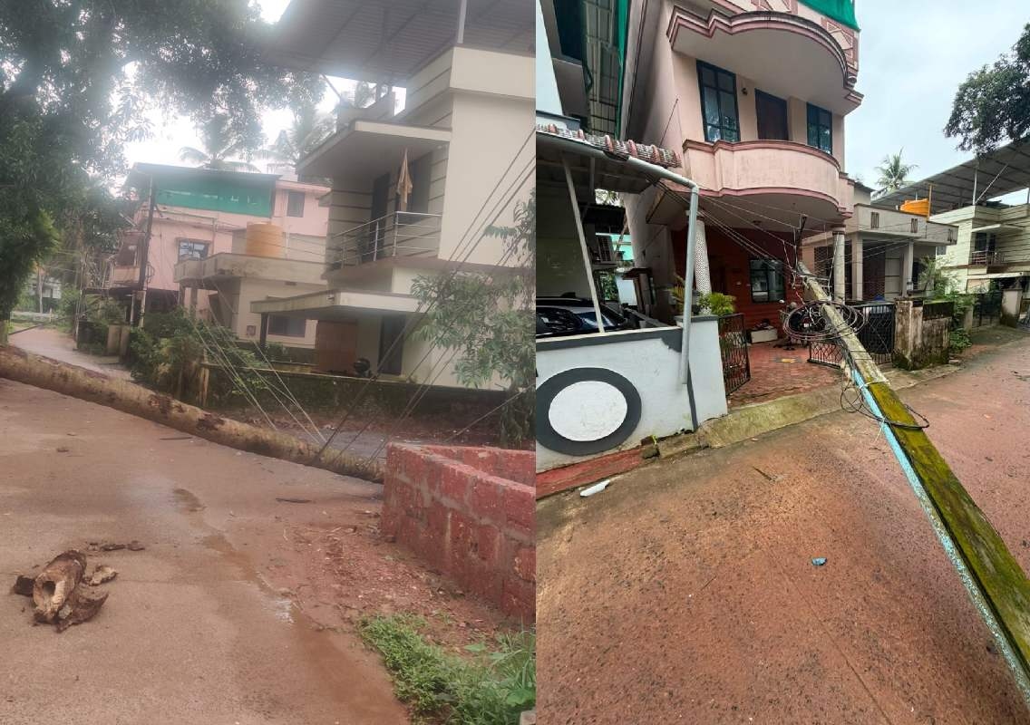 ಮಂಗಳೂರು: ಭಾರೀ ಮಳೆಗೆ ನೆಲಕ್ಕುರುಳಿದ ವಿದ್ಯುತ್‌ ಕಂಬಗಳು, ತಪ್ಪಿದ ಅನಾಹುತ! - News Karnataka
