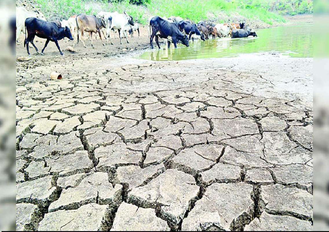 ಮೈಸೂರು: ಬರಪೀಡಿತ ಪ್ರದೇಶ ಘೋಷಿಸಲು ಒಂದು ವಾರದ ಗಡುವು! - News Karnataka