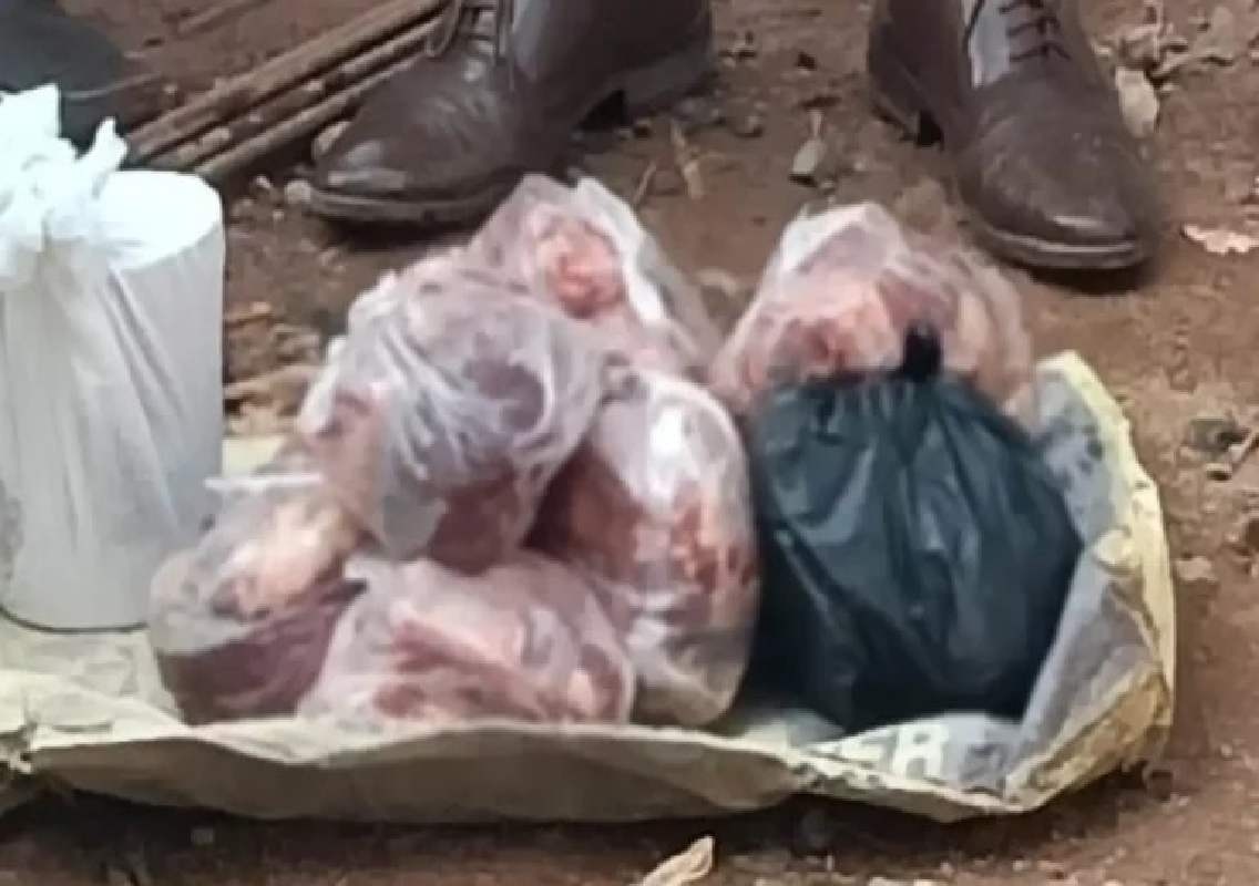 ಮಂಗಳೂರು : ಮಾರಾಟದ ಉದ್ದೇಶದಿಂದ ಸಂಗ್ರಹಿಸಿದ್ದ 11 ಕೆ.ಜಿ. ದನದ ಮಾಂಸ ವಶ - News Karnataka