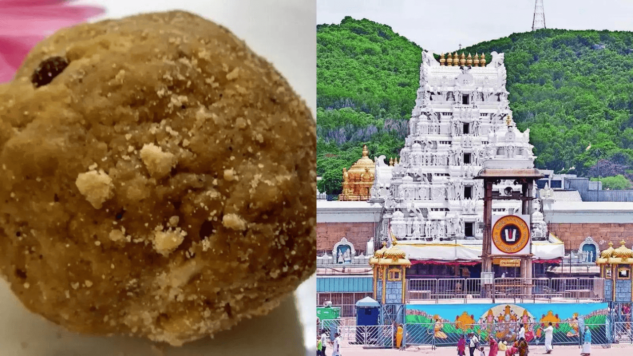 ತಿರುಪತಿ ಲಡ್ಡು ಪ್ರಕರಣ : ಶೀಘ್ರ ಕಲಬೆರಕೆ ಪತ್ತೆ ಯಂತ್ರ ಅಳವಡಿಸಲು ನಿರ್ಧಾರ - News Karnataka