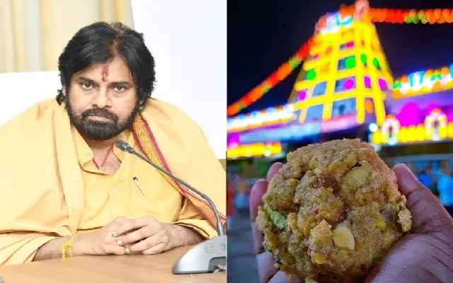 ತಿರುಪತಿ ಲಡ್ಡು ವಿವಾದ : ಪವನ್ ಕಲ್ಯಾಣ್ ರಿಂದ 11 ದಿನ ಪ್ರಾಯಶ್ಚಿತ್ತ ದೀಕ್ಷೆ - News Karnataka