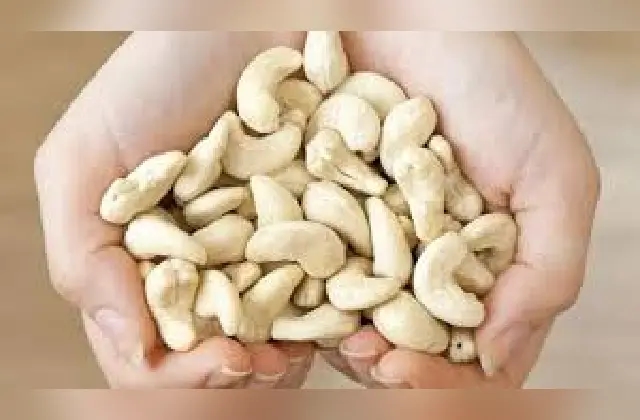 ಗೋಡಂಬಿ ತಿನ್ನುವುದರಿಂದ ಆರೋಗ್ಯಕ್ಕೆ ಏನೆಲ್ಲಾ ಪ್ರಯೋಜನಗಳಿವೆ ಗೊತ್ತಾ? - News Karnataka