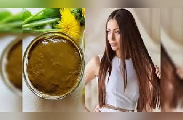 ಕೂದಲಿಗೆ ಮೆಹಂದಿ ಹಚ್ಚುವುದರಿಂದ ಆರೋಗ್ಯಕ್ಕೆ ತೊಂದರೆ ಇದೆ? - News Karnataka