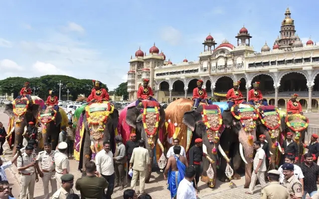 ಮೈಸೂರು: ದಸರಾ ಆನೆಗಳ ಮುಂದೆ ಸೆಲ್ಫೀ, ರೀಲ್ಸ್'ಗೆ ನಿಷೇಧ..! - News Karnataka