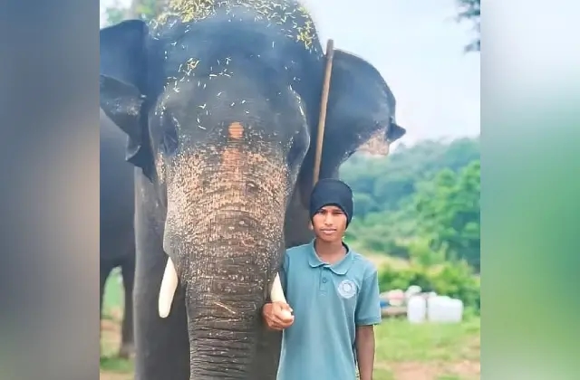 ಬನ್ನೇರುಘಟ್ಟದಲ್ಲಿ ಆನೆಗೆ ಸ್ನಾನ ಮಾಡಿಸಲು ಹೋಗಿದ್ದ ಮಾವುತ ಕೆರೆಯಲ್ಲಿ ಮುಳುಗಿ ಮೃತ್ಯು - News Karnataka