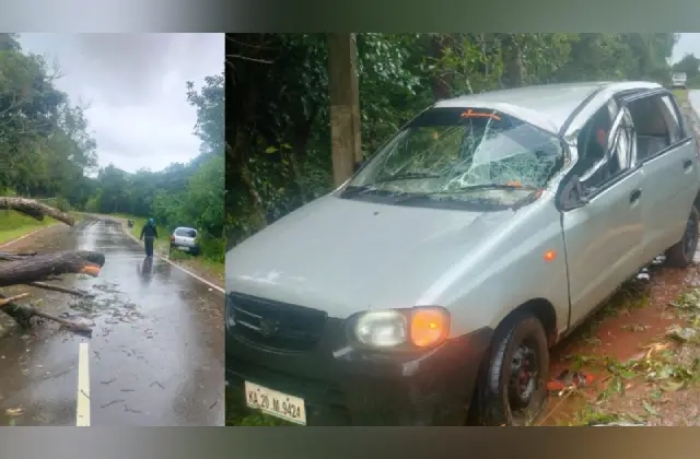 ಚಲಿಸುತ್ತಿದ್ದ ಕಾರಿನ ಮೇಲೆ ಮರ ಬಿದ್ದು ಓರ್ವ ಮೃತ್ಯು - News Karnataka