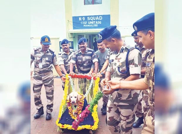 ಭದ್ರತೆಯಿಂದ ಜೂಲಿ ನಿವೃತ್ತಿ: 8 ವರ್ಷಗಳಿಂದ ಸೇವೆಯಲ್ಲಿದ್ದ ಶ್ವಾನ - News Karnataka