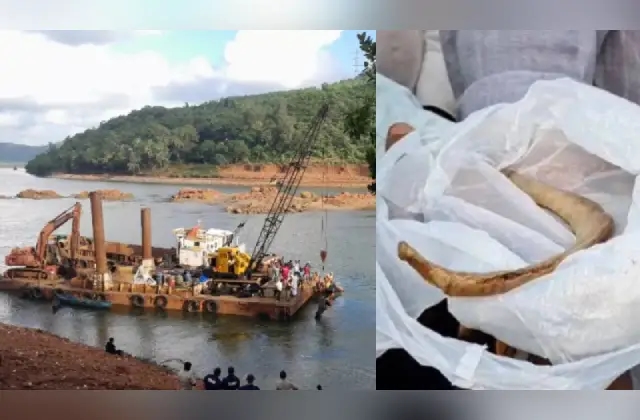 ಶಿರೂರಿನಲ್ಲಿ ಕಾರ್ಯಾಚರಣೆ : ನದಿಯಲ್ಲಿ ಮಾನವನ ಮೂಳೆ ಪತ್ತೆ - News Karnataka