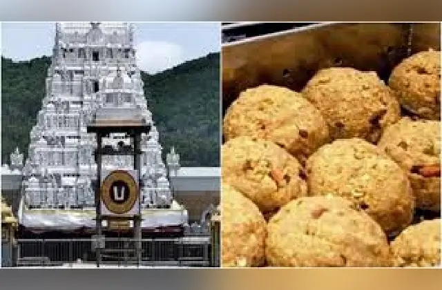 ತಿರುಪತಿಯಲ್ಲಿ ಲಡ್ಡು ಪ್ರಸಾದ ಸ್ವೀಕರಿಸಲು ಹೊಸ ನಿಯಮ ಜಾರಿ? - News Karnataka